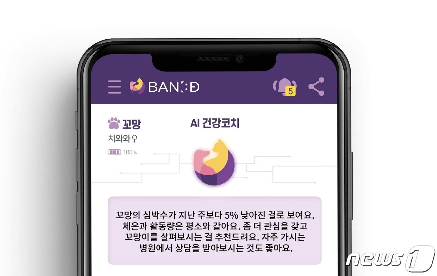 본문 이미지 - 반려견 인공지능 하네스 '반디피트' (반달컴퍼니 제공) ⓒ 뉴스1