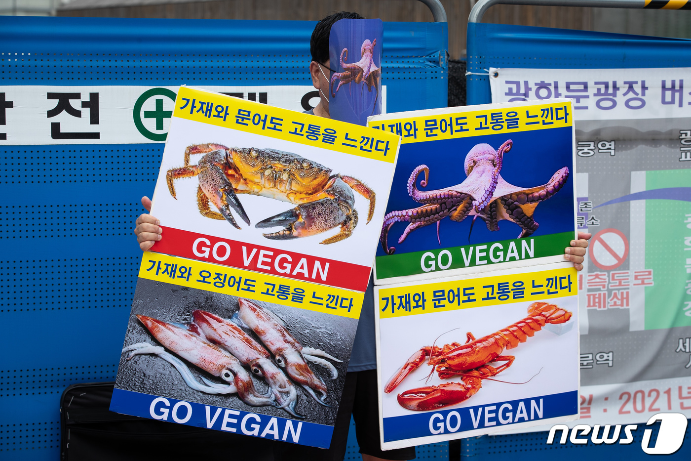 (서울=뉴스1) 유승관 기자 = 14일 서울 광화문광장에서 한 시민단체 회원이 '가재와 문어, 바다 동물도 고통을 느낀다' 비건(vegan) 채식 촉구 1인 시위를 하고 있다.시민 …
