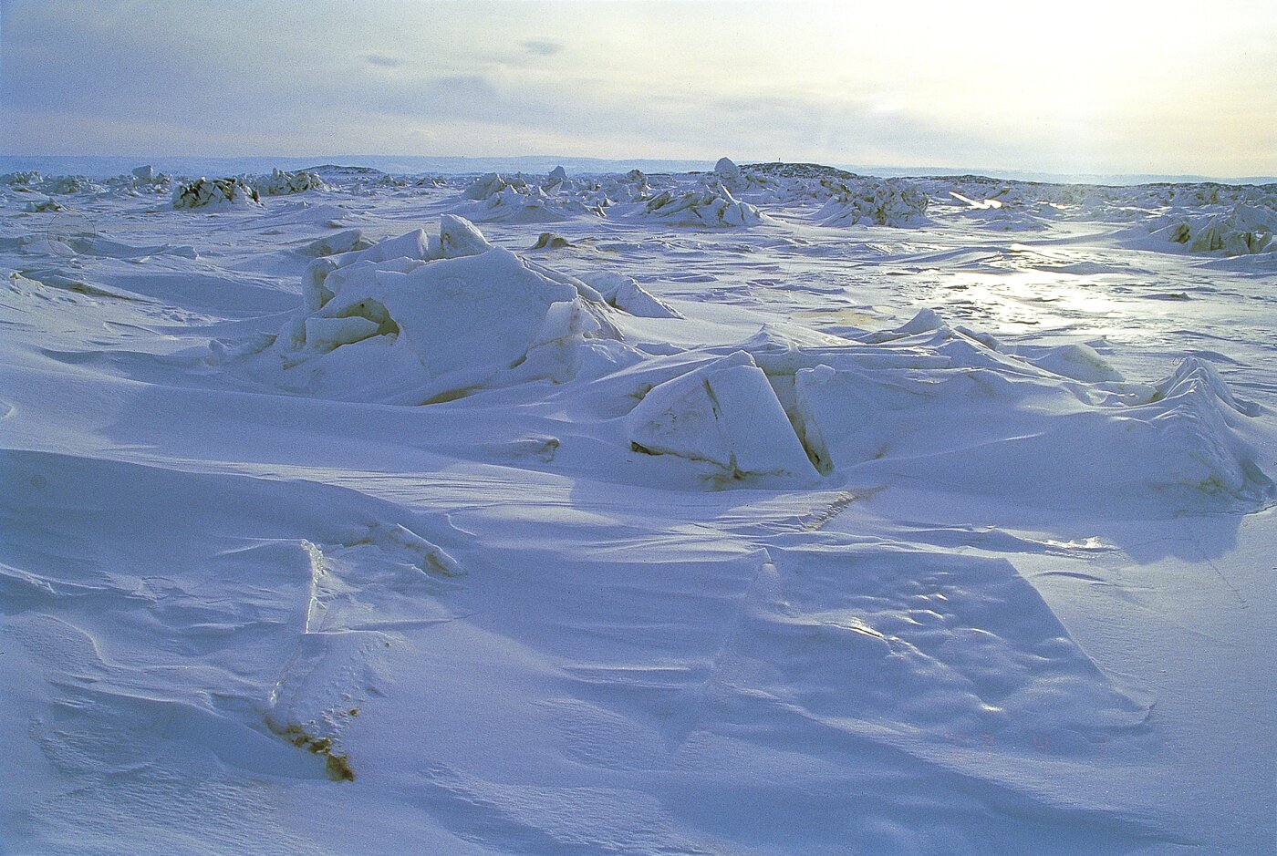 본문 이미지 - 얼음으로 뒤덮인 4월의 프로비셔만. 조성관 작가 제공