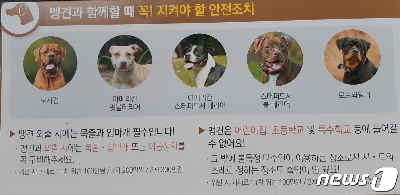 본문 이미지 - ⓒ 뉴스1