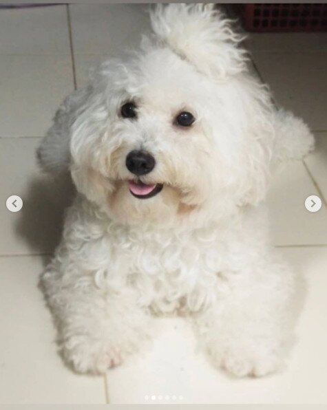 본문 이미지 - 랑종 나릴야 군몽콘켓과 럭키/쇼박스 인스타그램 ⓒ 뉴스1