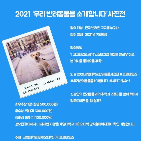 세명대 동물바이오헬스학과, 고교생 대상 반려동물 사진 공모전 - 뉴스 썸네일 이미지