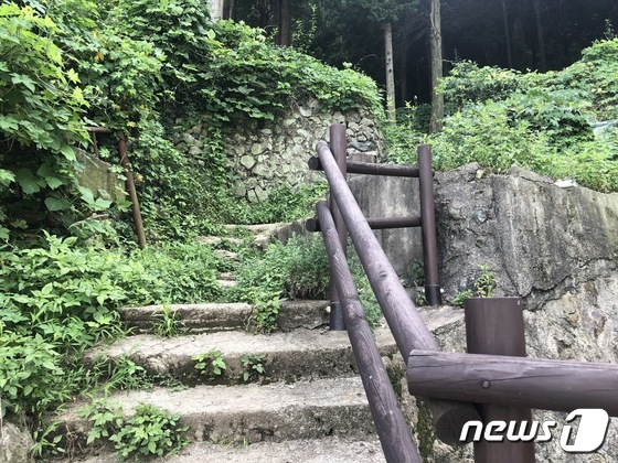 [사건의재구성]새벽 시약산의 잔혹 살인자…남긴 건 '조각 DNA'뿐 - Vimarsana News