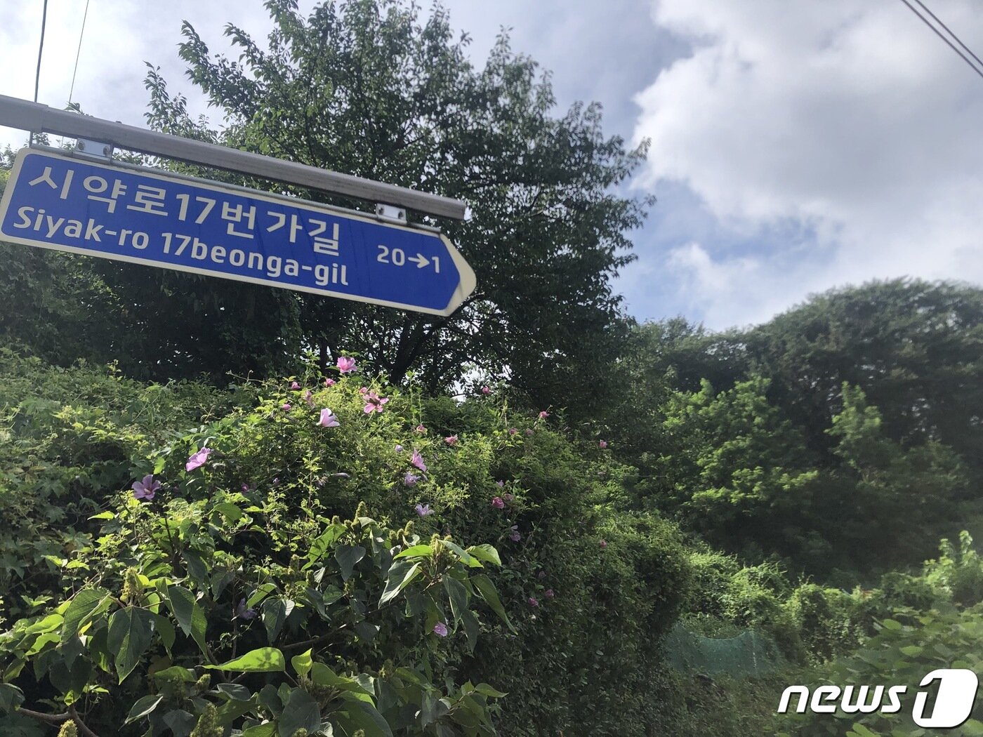 본문 이미지 - 시약산 인근 도로 표지판.ⓒ 뉴스1 백창훈 기자