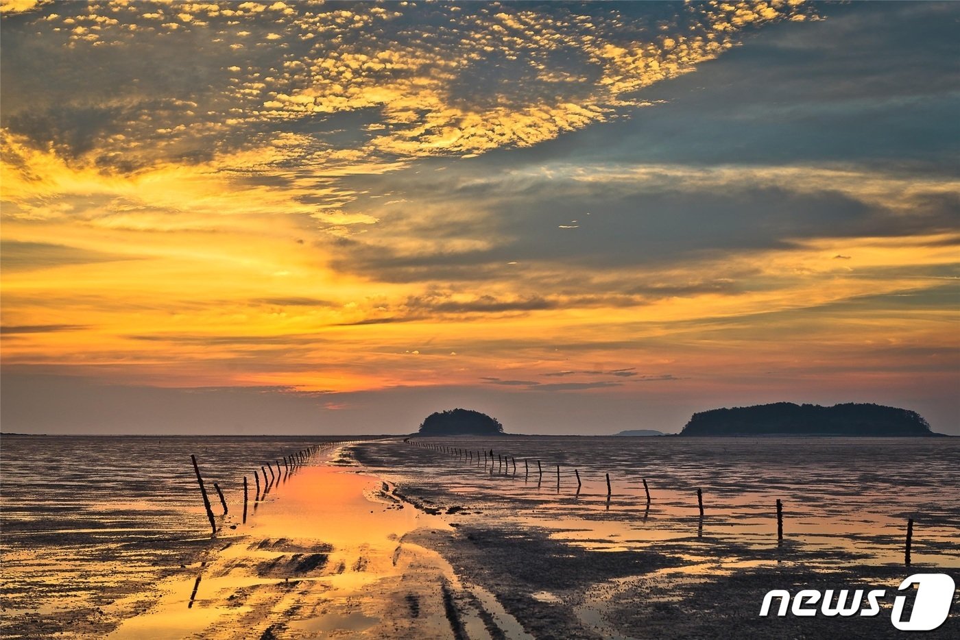 본문 이미지 - 고창 갯벌 낙조 ⓒ 뉴스1