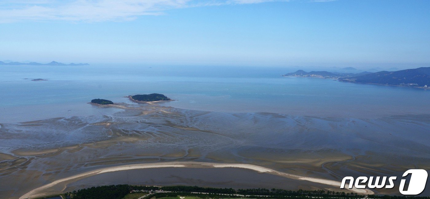 본문 이미지 - 고창갯벌 쉐니어ⓒ 뉴스1