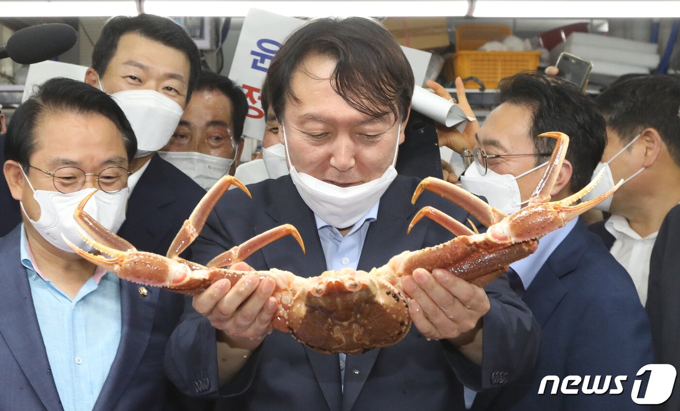 본문 이미지 - 윤석열 전 검찰총장이 27일 오후 부산 중구 자갈치시장을 찾아 상인이 건넨 대게를 들어보고 있다. 2021.7.27/뉴스1 ⓒ News1 여주연 기자