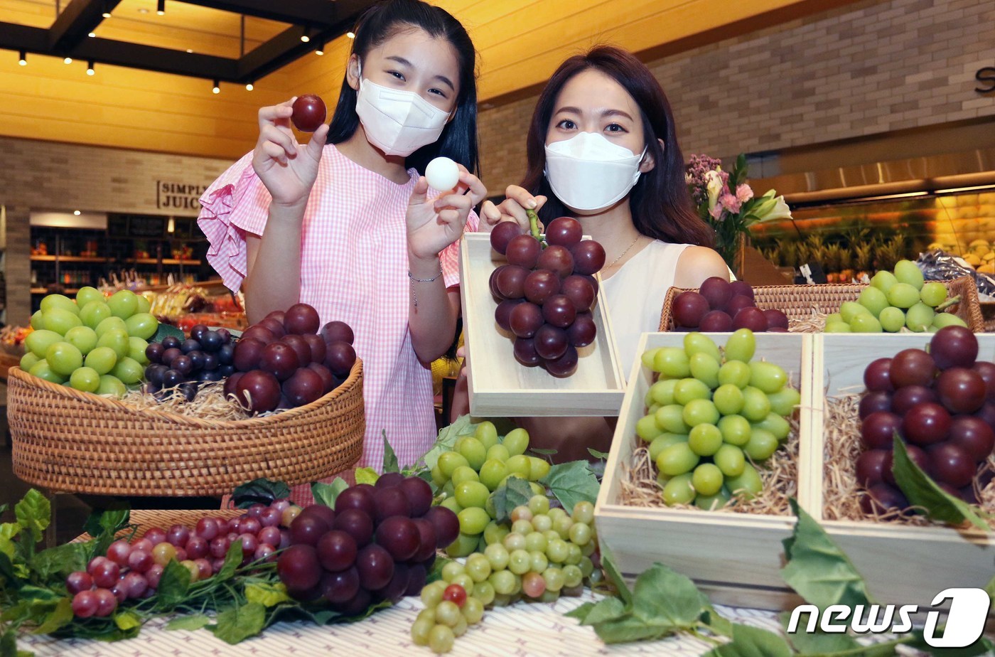 (서울=뉴스1) = 28일 오전 서울 중구 신세계백화점 본점에서 모델들이 세계에서 가장 비싼 포도인 ‘루비로망’과 샤인머스켓 2세대 품종인 ‘쥬얼머스캣’을 소개하고 있다.신세계백화 …