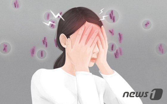 본문 이미지 - ⓒ News1 DB