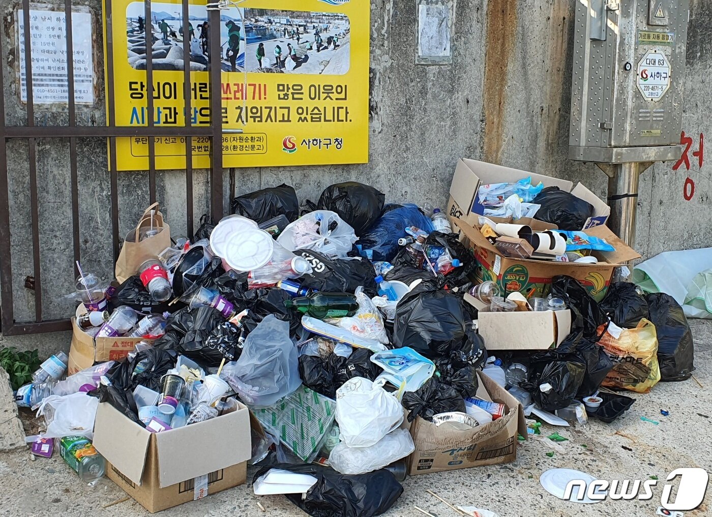 본문 이미지 - 31일 낫개방파제 입구에 쌓여 있는 쓰레기들.2021.7.31/ⓒ 뉴스1 노경민 기자