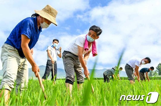 '식량 문제 긴장' 북한, 곡창지대 황남의 '사명' 주문 - Vimarsana News