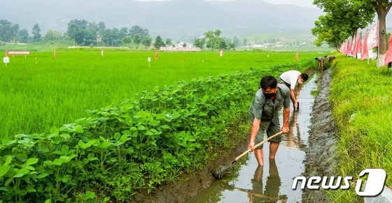 북한, 장마 앞두고 수해 대비 총력…"모든 단위가 대책 세워야" - Vimarsana News