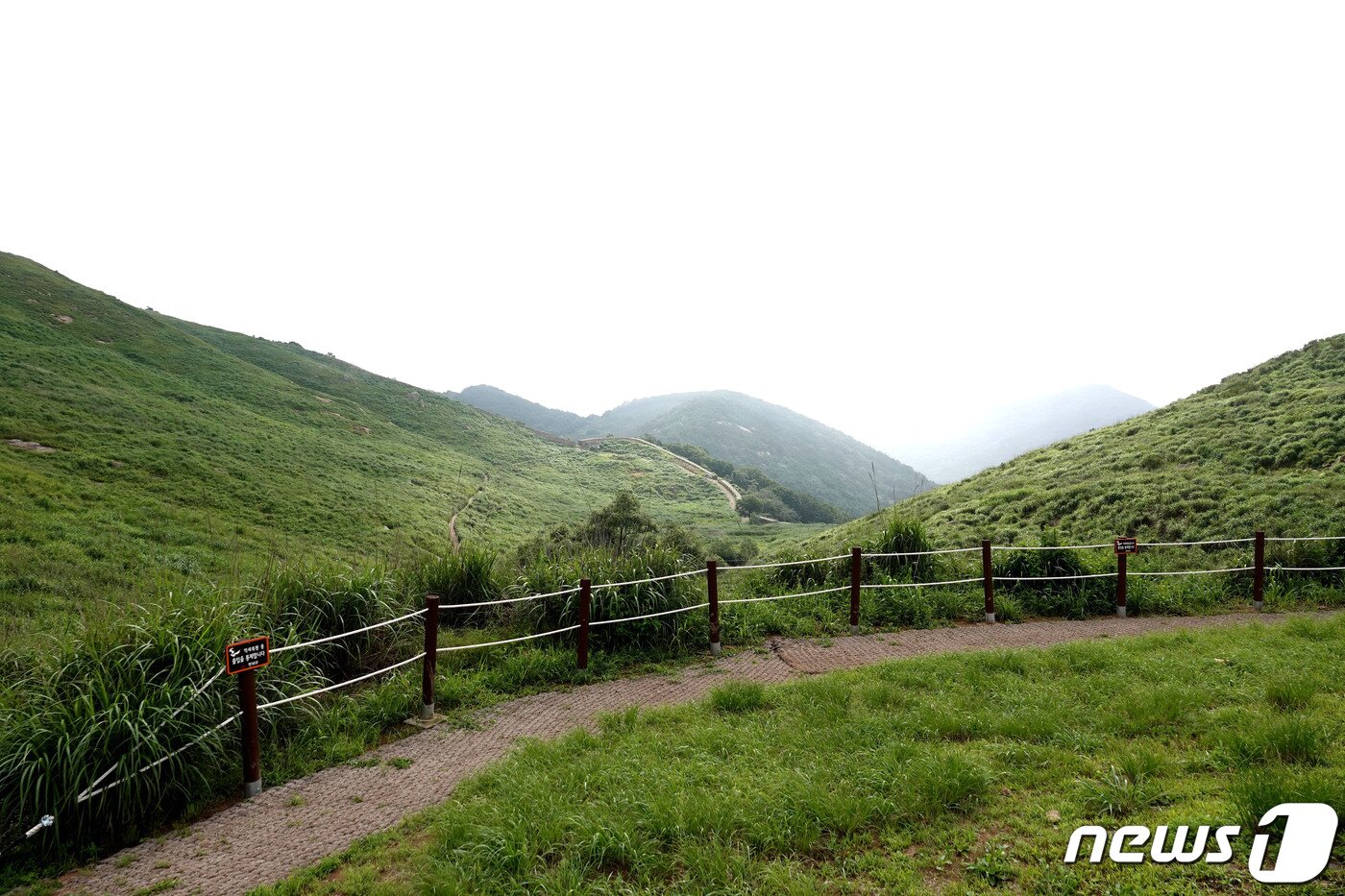 본문 이미지 - 창녕 화왕산 산책로 전경. (창녕군 제공) ⓒ 뉴스1