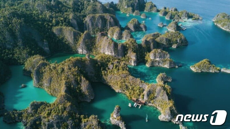 본문 이미지 - 다이버들의 천국으로 알려지 인도네시아 라자 암팟섬 ⓒ 로이터=뉴스1