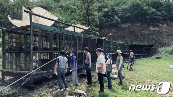 "곰이 처음 경험하는 철창 밖 세상, 더는 죽음이 아니길" - Vimarsana News