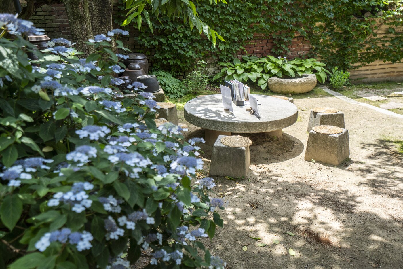 본문 이미지 - 최수우옛집 뒤뜰에 산수국이 피기 시작했다. 뒤뜰에 마련된 쉼터 공간은 방문객이 편하게 이용할 수 있다. 서울관광재단 제공