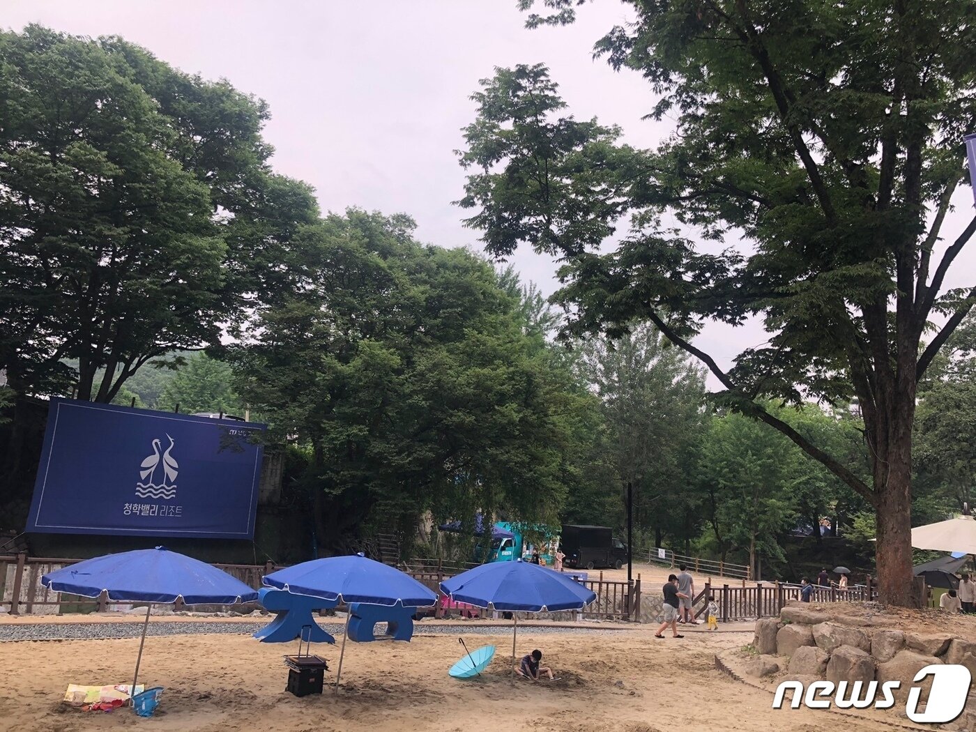 본문 이미지 - 청학밸리리조트 ⓒ 뉴스1