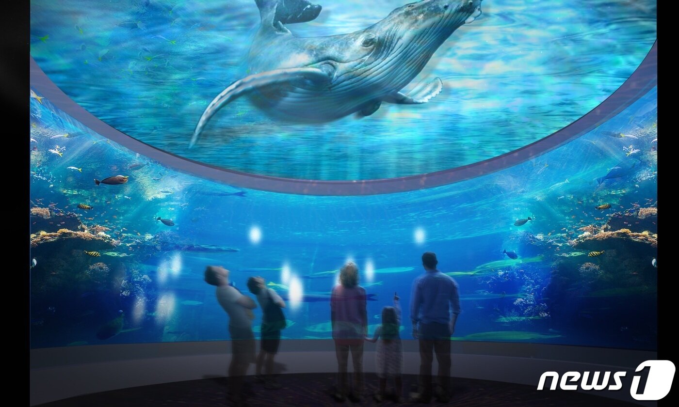 본문 이미지 - 아트 앤 사이언스 아쿠아리움(대전신세계 제공)ⓒ 뉴스1