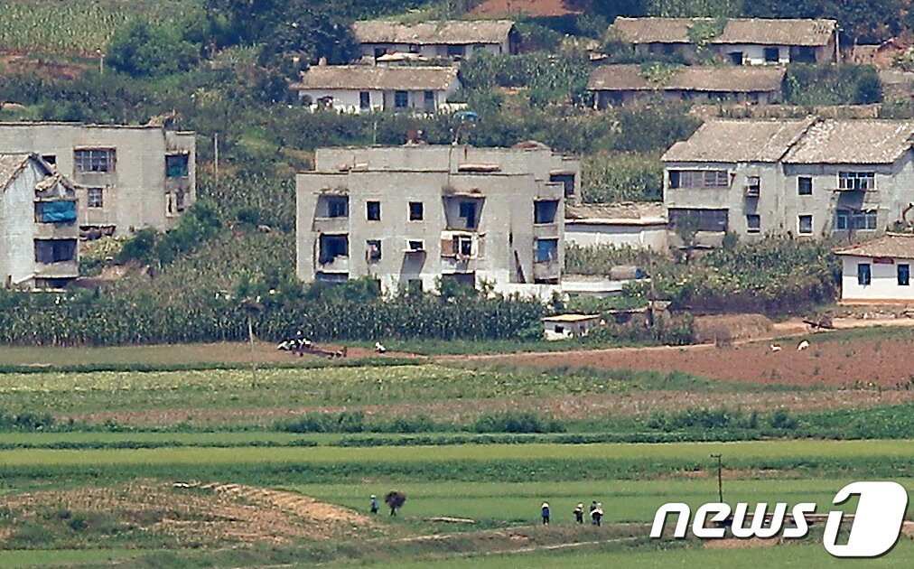 본문 이미지 - 10일 경기도 파주시 오두산전망대에서 바라본 북한 황해북도 개풍군 마을에서 주민들이 논과 밭에서 일을 하고 있다. 한미연합훈련의 &#39;사전연습&#39; 격인 우리 군의 위기관리참모훈련&#40;CMST&#41;이 시작된 10일 김여정 북한 노동당 부부장은 조선중앙통신사를 통해 담화를 내고 한미훈련에 대해 비난했다. ⓒ News1 박정호 기자