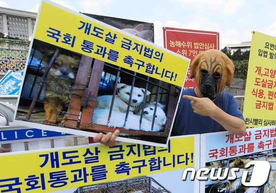 개 도살 금지법 제정 촉구 1인 시위