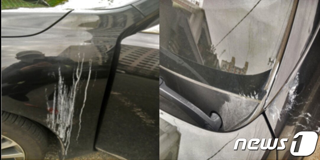 본문 이미지 - 광주 동구 한 주상복합아파트 지하주차장의 천장에서 떨어진 석회물질 빗물로 입주자 차량이 훼손돼 있다.(독자제공)2021.8.10/뉴스1 ⓒ 뉴스1