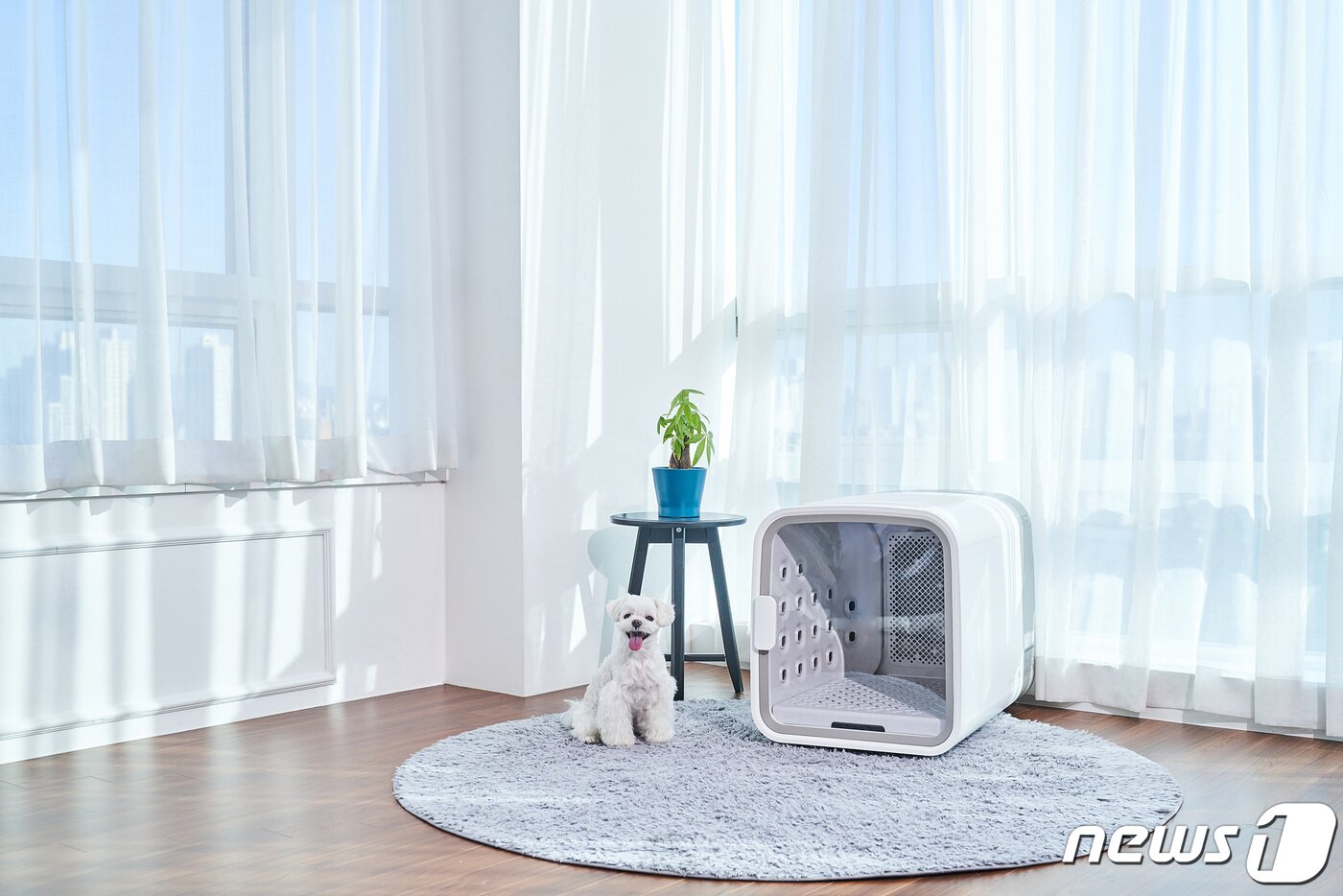 본문 이미지 - 넬로 펫 에어샤워 & 드라이룸 (쿠쿠전자 제공) ⓒ 뉴스1