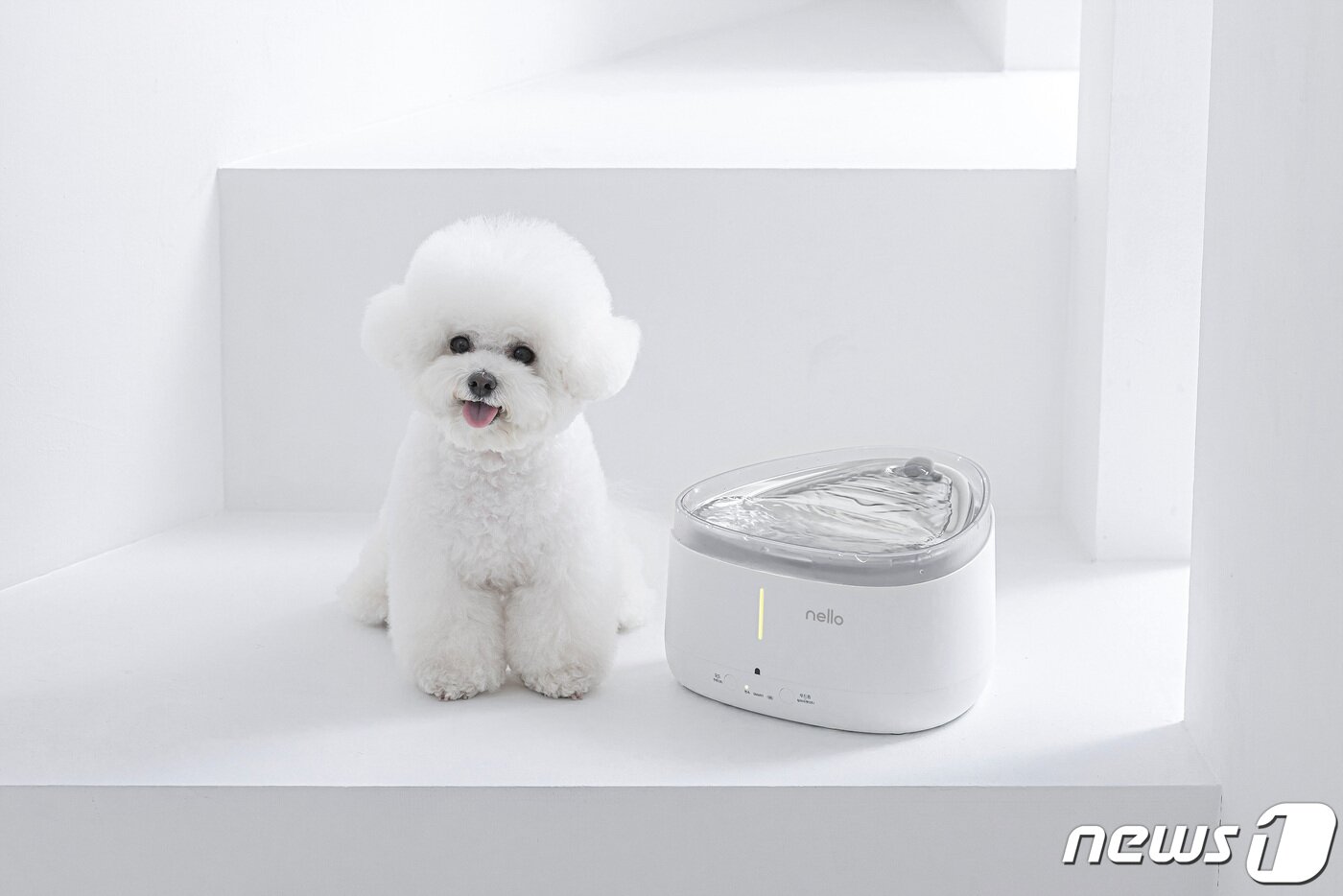 본문 이미지 - 넬로 펫 스마트 급수기 (쿠쿠전자 제공) ⓒ 뉴스1