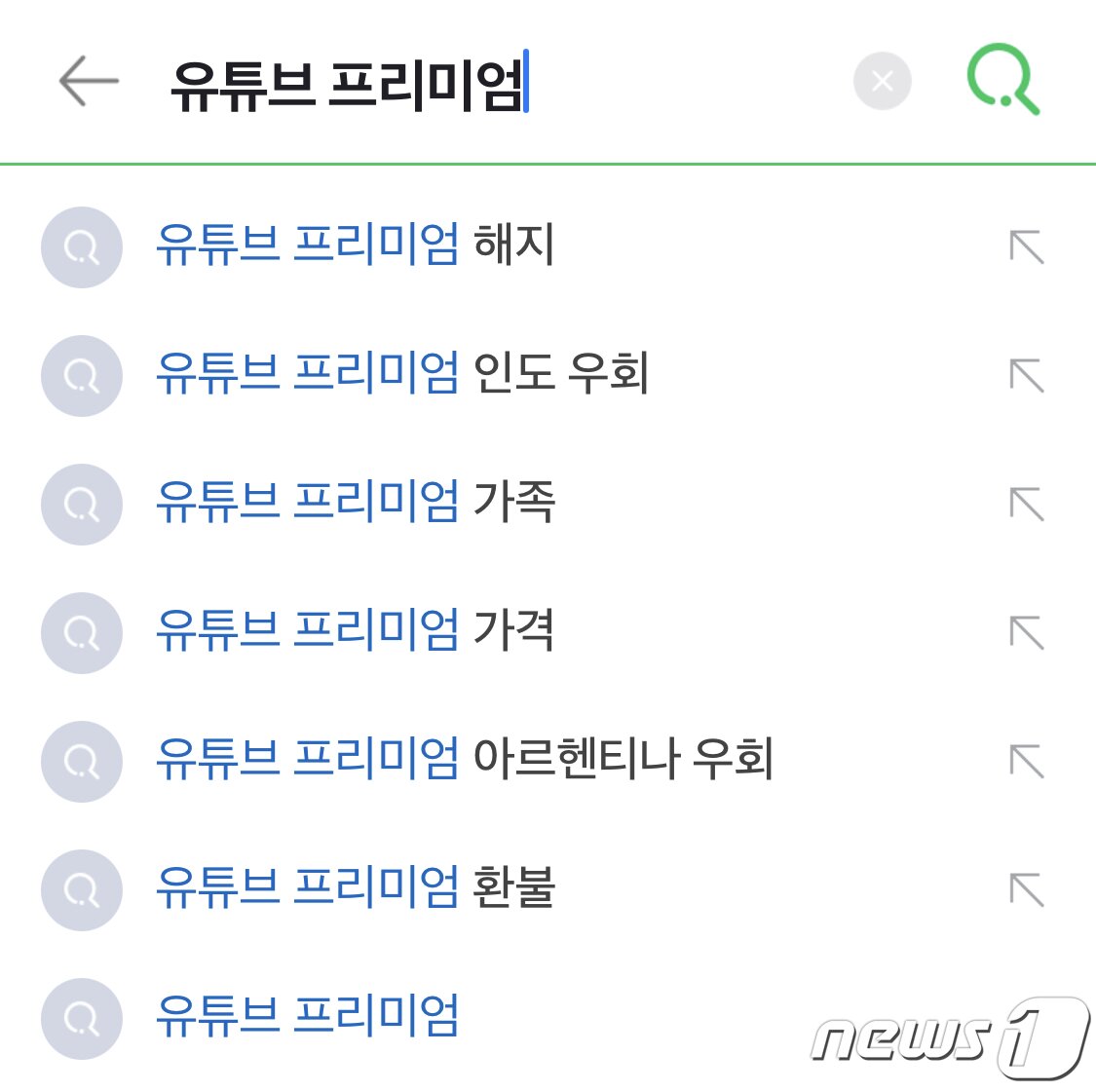 본문 이미지 - 네이버에서 유튜브 프리미엄을 검색하면 나오는 자동완성 검색어. ‘인도 우회’, ‘아르헨티나 우회’ 등이 많이 검색되는 모습을 확인할 수 있다. ⓒ 뉴스1