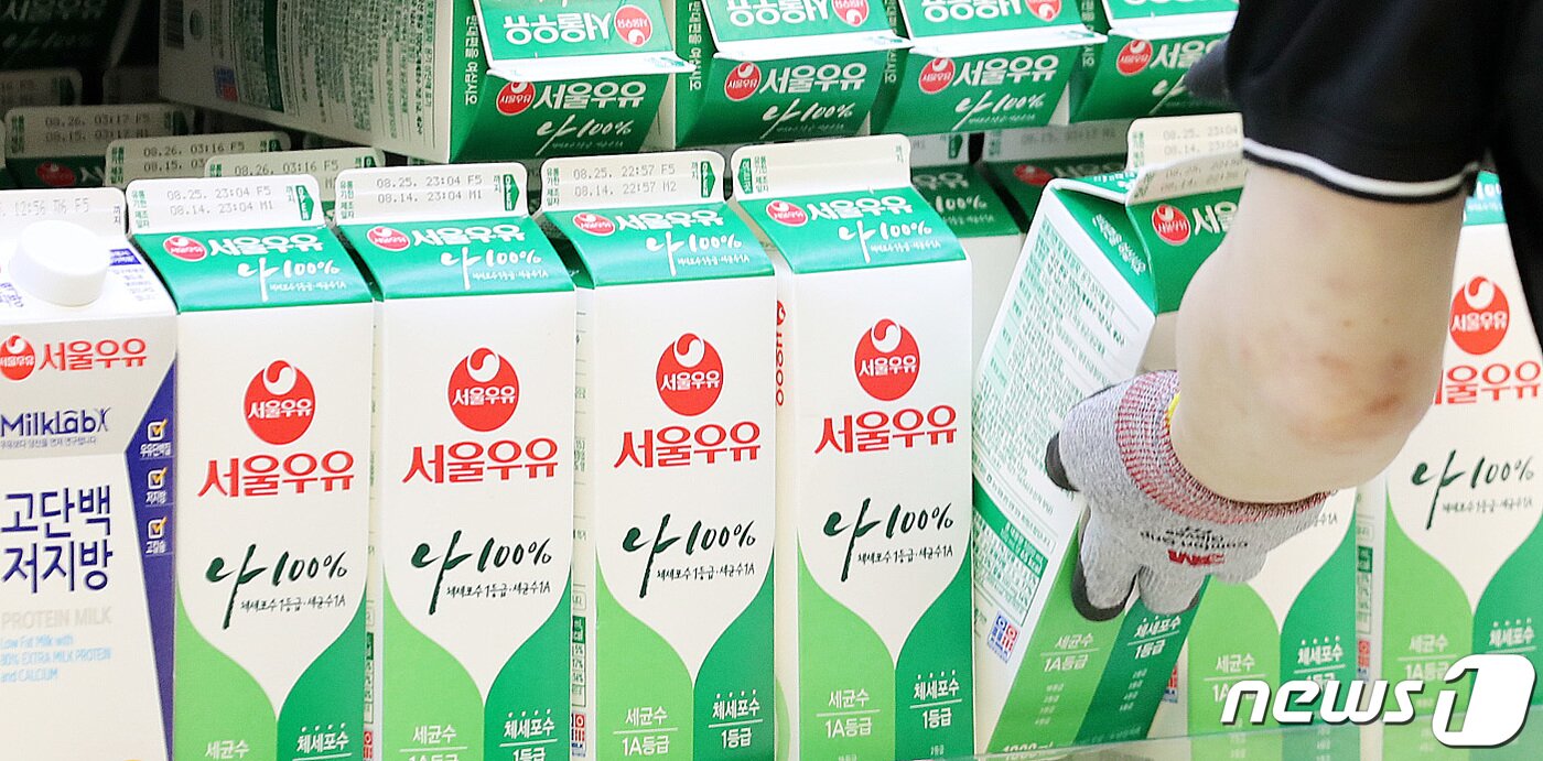 본문 이미지 - 우유의 원재료인 원유(原乳) 가격 협상이 끝내 결렬되면서 당장 이달부터 원윳값이 리터당 21원씩 오르게 됐다. 우유를 시작으로 각종 우유 관련 제품 가격이 연달아 오르는 이른바 '밀크플레이션(우유제품발 물가 인상)'이 현실화할 분위기다. 18일 서울의 한 대형마트에 우유가 진열되어 있다. 2021.8.18/뉴스1 ⓒ News1 박지혜 기자