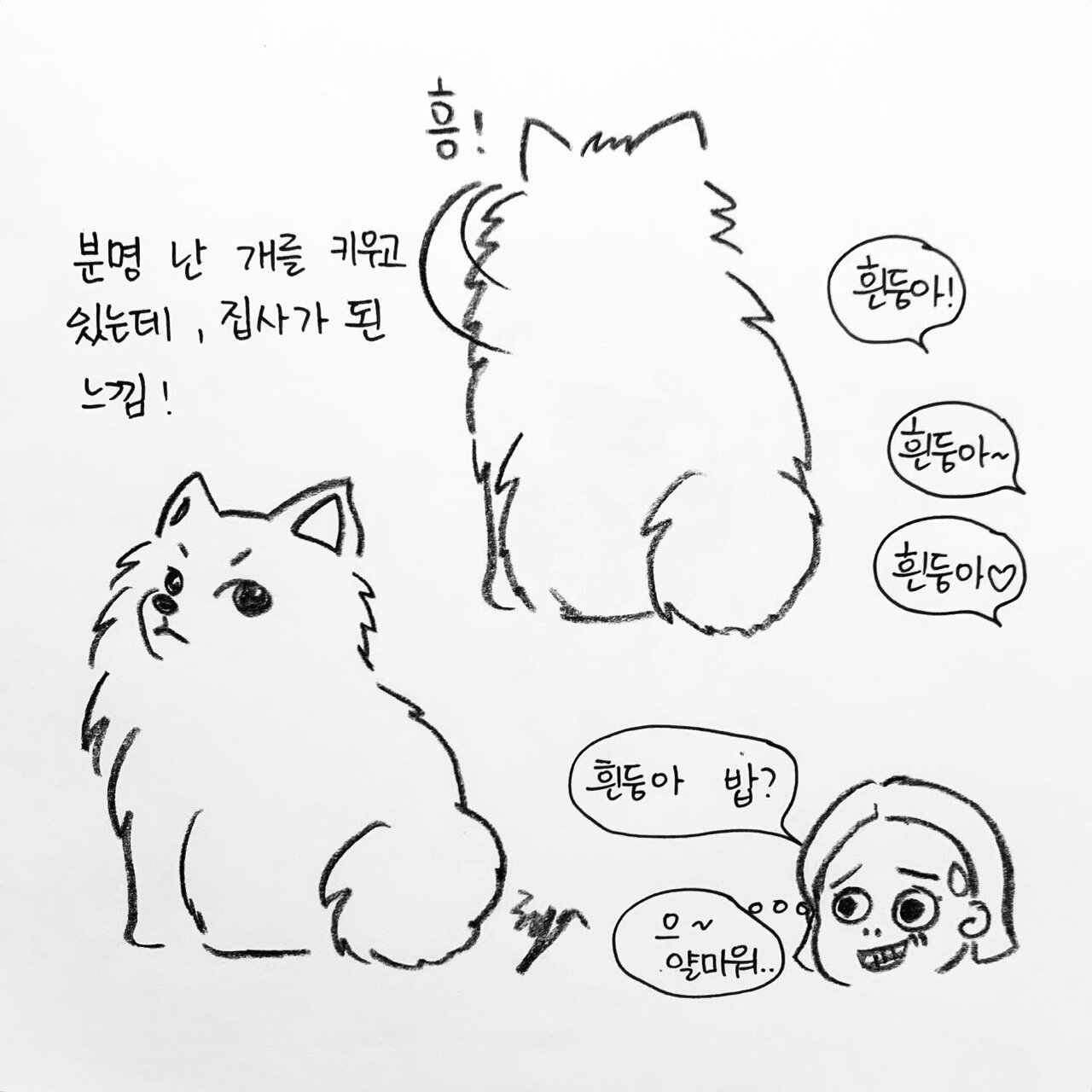 본문 이미지 - 해피펫툰 ⓒ 뉴스1