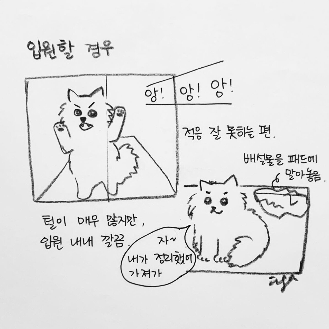 본문 이미지 - 해피펫툰 ⓒ 뉴스1