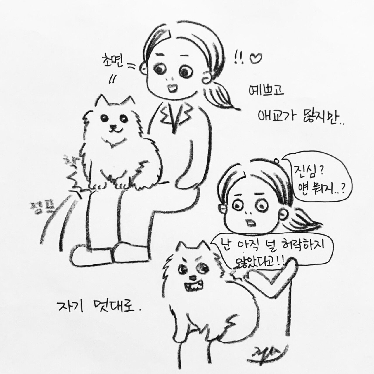 본문 이미지 - 해피펫툰 ⓒ 뉴스1