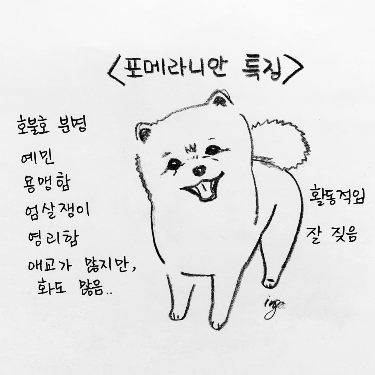 본문 이미지 - 해피펫툰 ⓒ 뉴스1