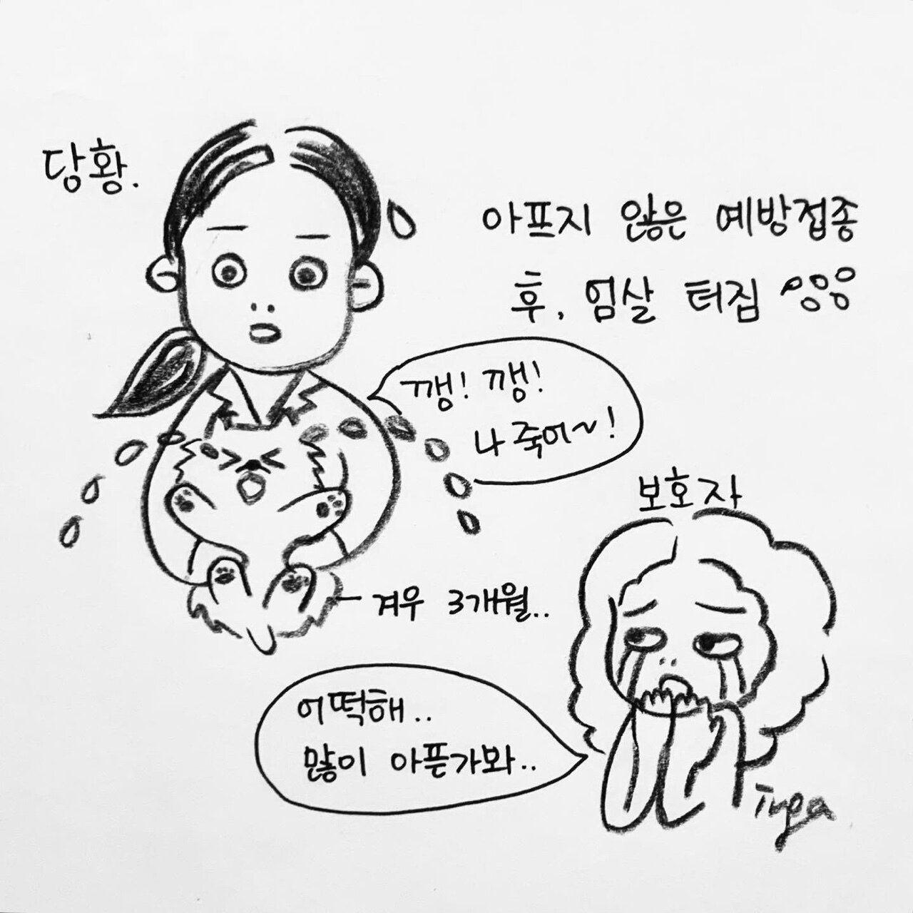 본문 이미지 - 해피펫툰 ⓒ 뉴스1