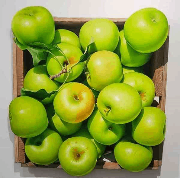 본문 이미지 - 이화익갤러리 20주년 기념전 주요작품ⓒ 뉴스1