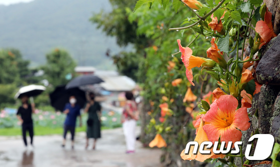 [오늘의 날씨]대전·충남(3일, 화)…낮 최고 32도, 비 최대 100㎜ - Vimarsana News