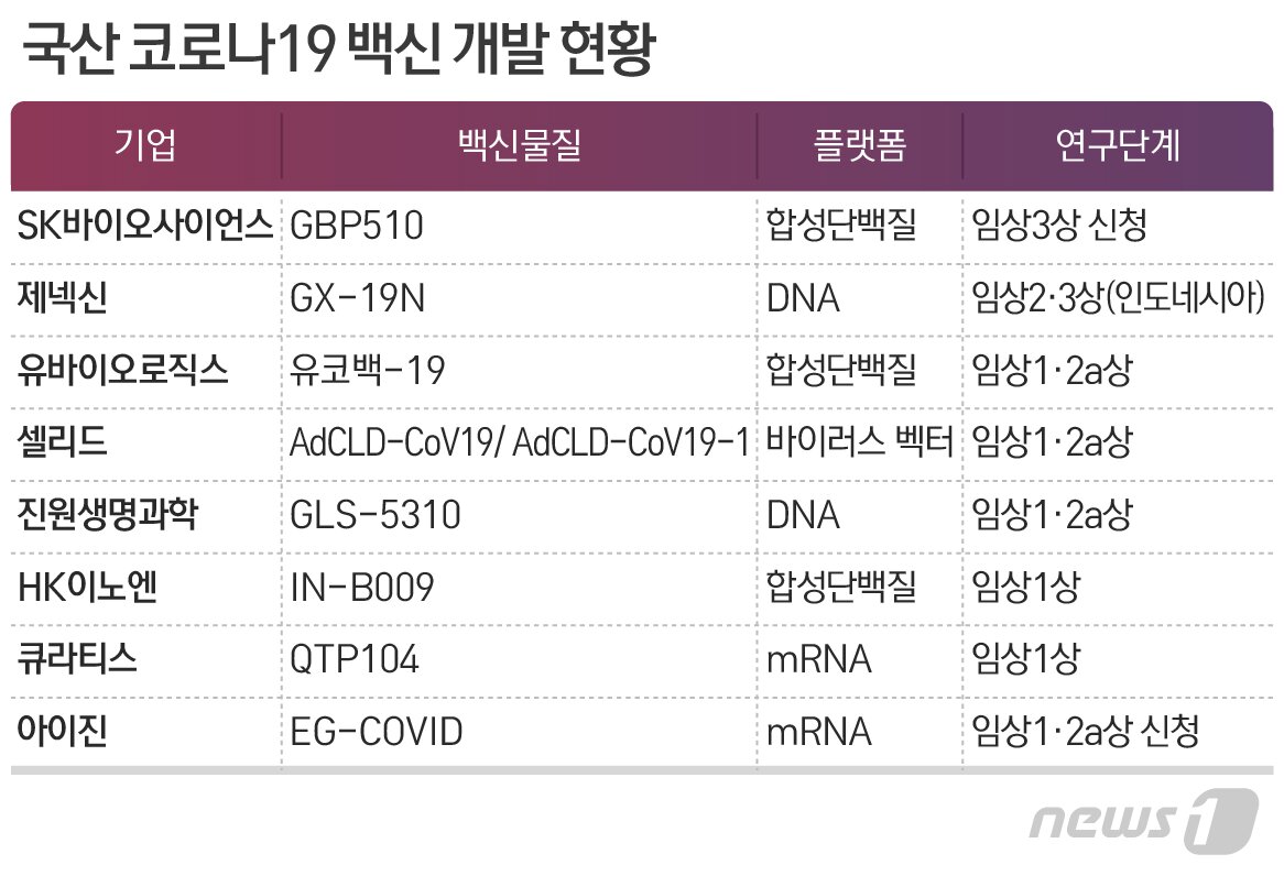 본문 이미지 - ⓒ News1 최수아 디자이너
