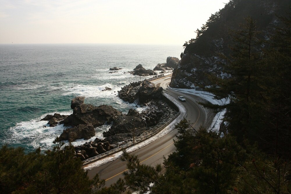 본문 이미지 - 강릉 헌화로