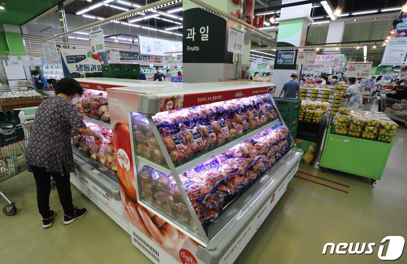 본문 이미지 - 20일 서울시내 한 대형마트에서 시민들이 사과를 비롯한 과일을 구매하고 있다. 추석을 앞두고 차례상 물가에 비상이 걸렸다. 폭염으로 주요 추석 성수품 가격이 크게 오른데다 생산자물가와 원자재 상승에 달러 상승으로 수입 물가도 오르고 있다. 19일 한국농수산식품유통공사(aT) 농산물 유통정보(KAMIS)에 따르면 지난 18일 기준으로 전통시장에서 배(신고 상품) 10개의 평균 소매가격은 66.1% 뛰었다. 사과(후지 상품) 10개의 평균 가격은 지난해 같은 시점보다 16.9% 올랐다. 2021.8.20/뉴스1 ⓒ News1 박세연 기자