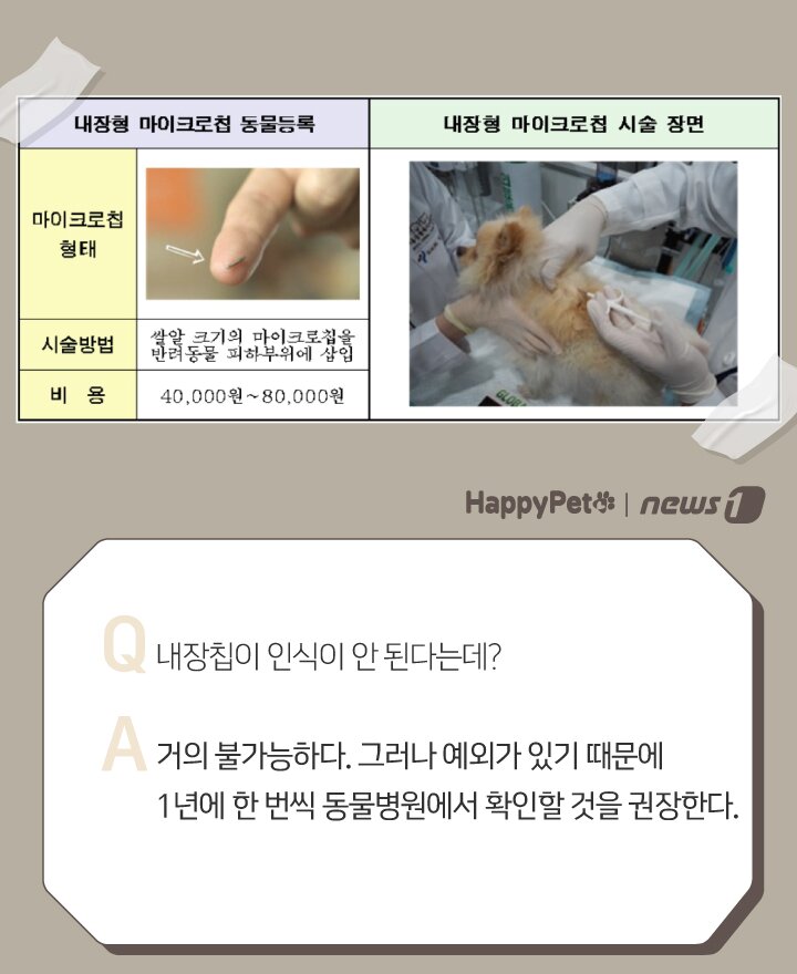 본문 이미지 - ⓒ 뉴스1