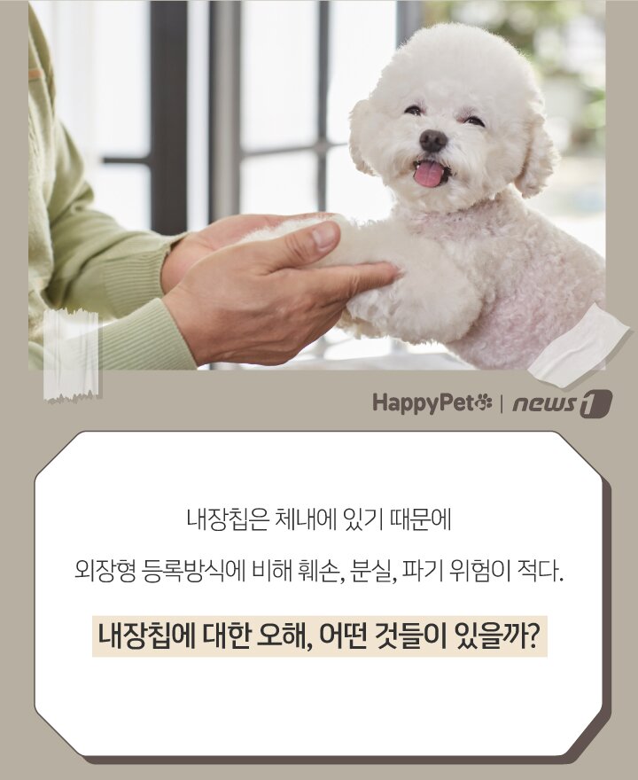 본문 이미지 - ⓒ 뉴스1