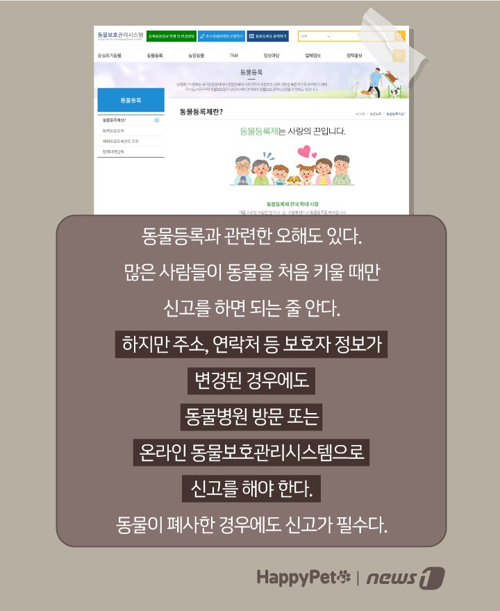 본문 이미지 - ⓒ 뉴스1