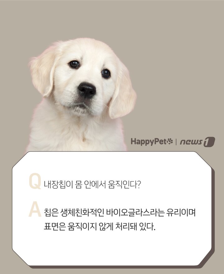 본문 이미지 - ⓒ 뉴스1