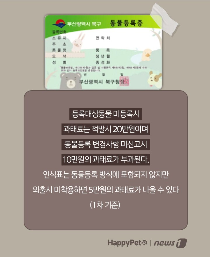 본문 이미지 - ⓒ 뉴스1