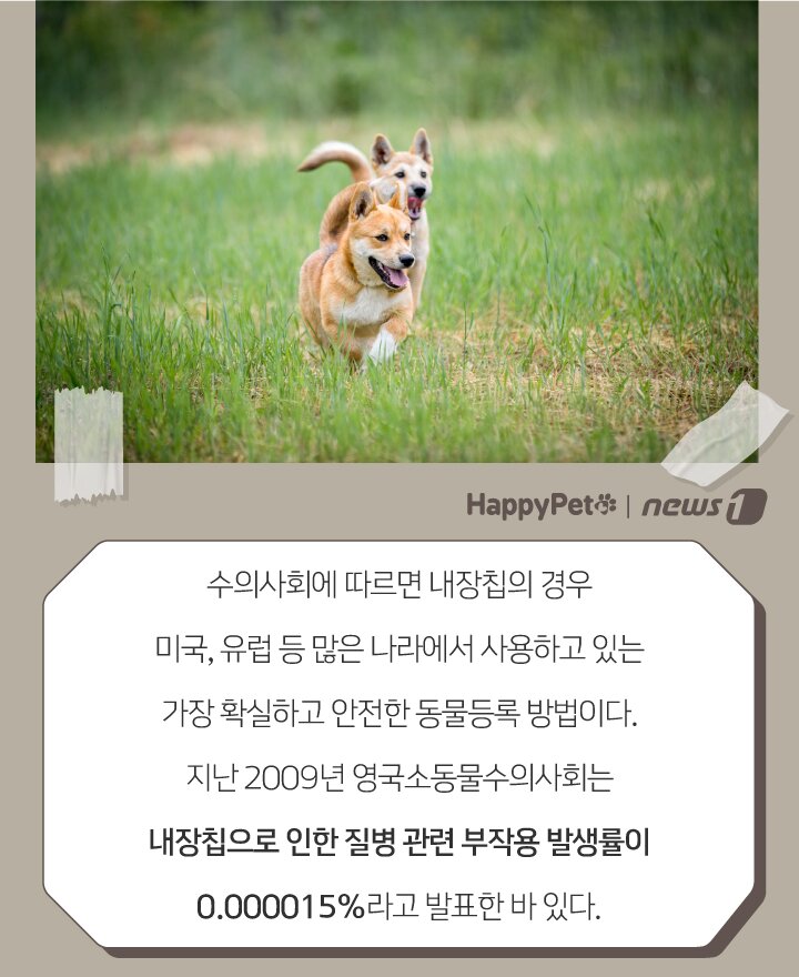 본문 이미지 - ⓒ 뉴스1