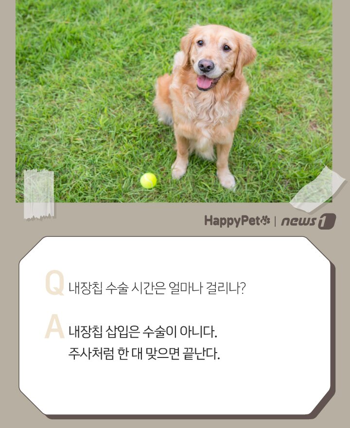 본문 이미지 - ⓒ 뉴스1