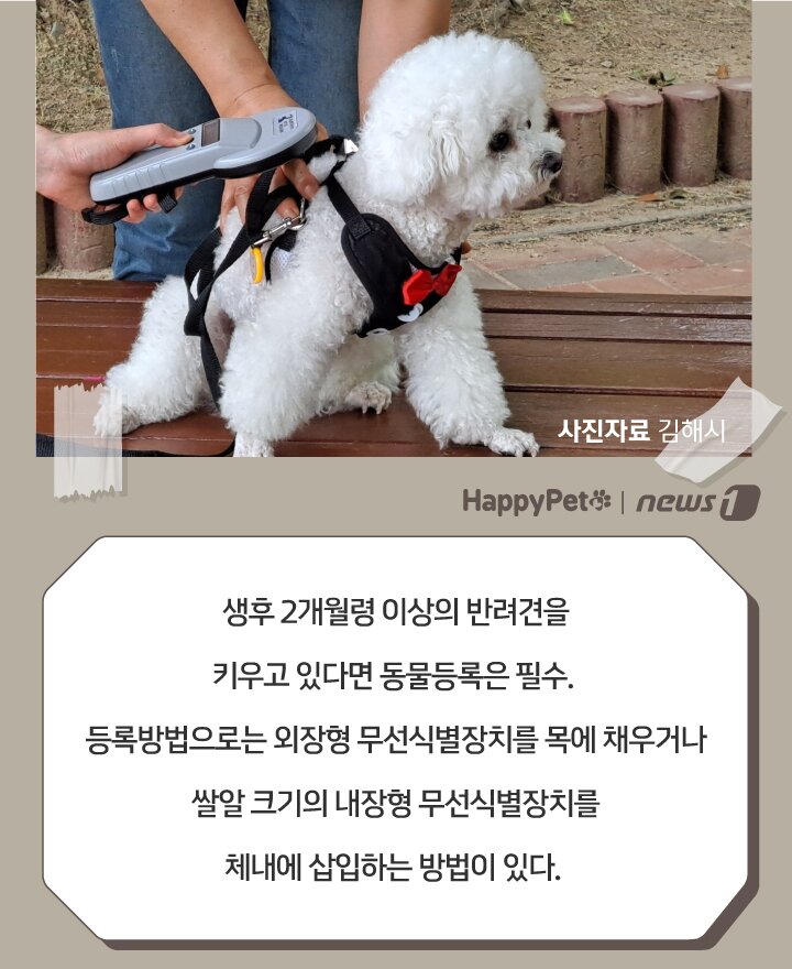 본문 이미지 - ⓒ 뉴스1