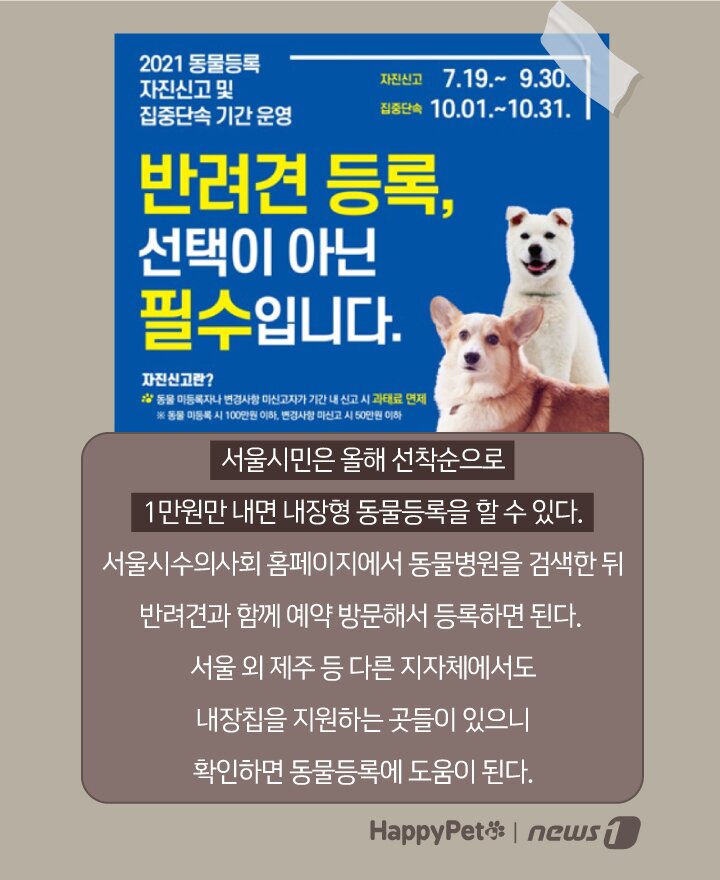 본문 이미지 - ⓒ 뉴스1