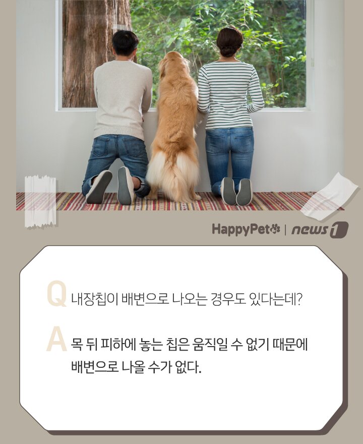 본문 이미지 - ⓒ 뉴스1