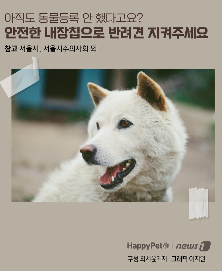 본문 이미지 - ⓒ 뉴스1